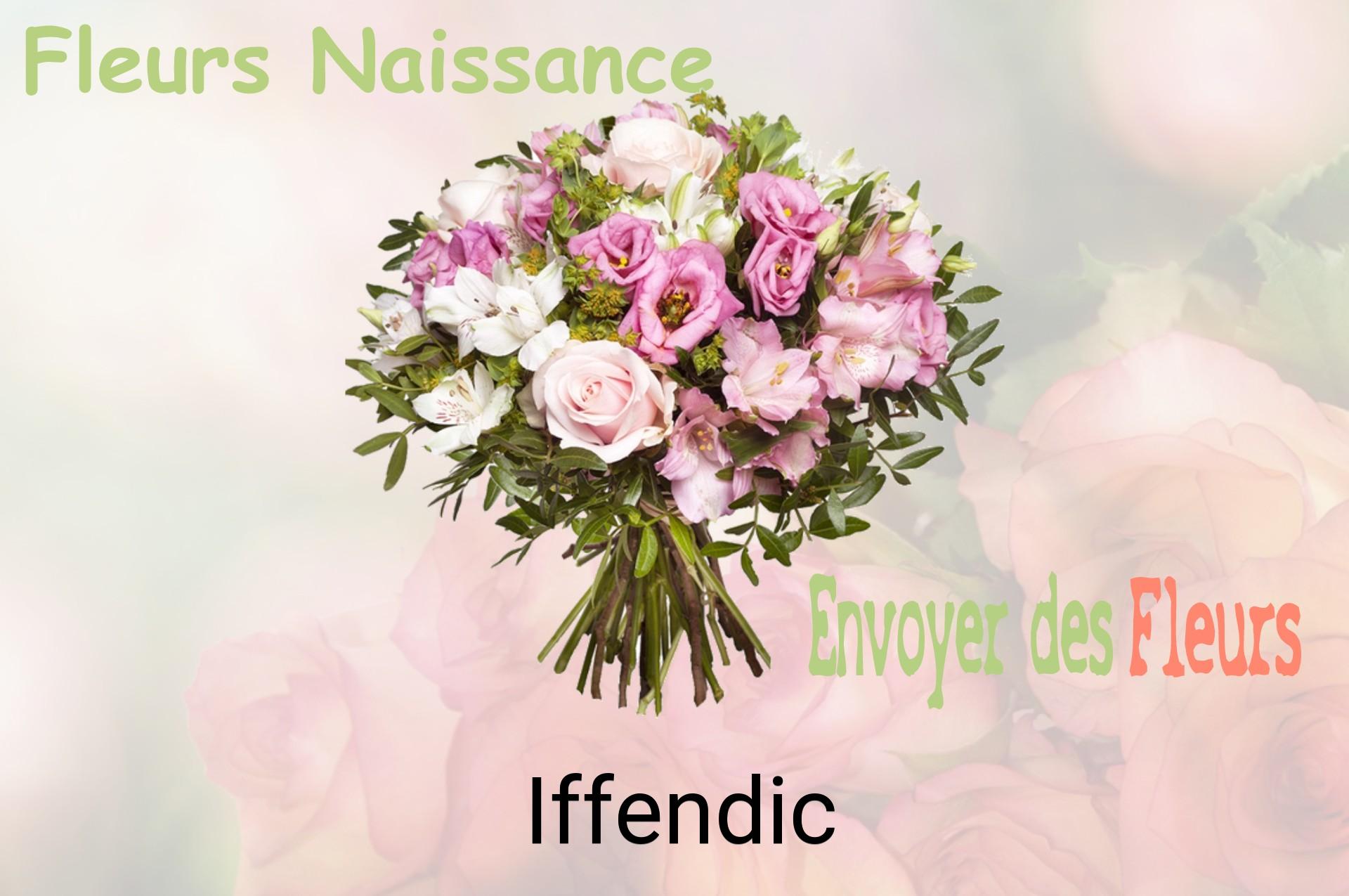 Bouquet de fleurs de naissance livré à Iffendic
